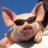 piggy