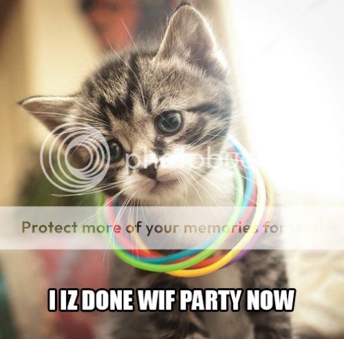 KittehMonday04-09-201222.jpg